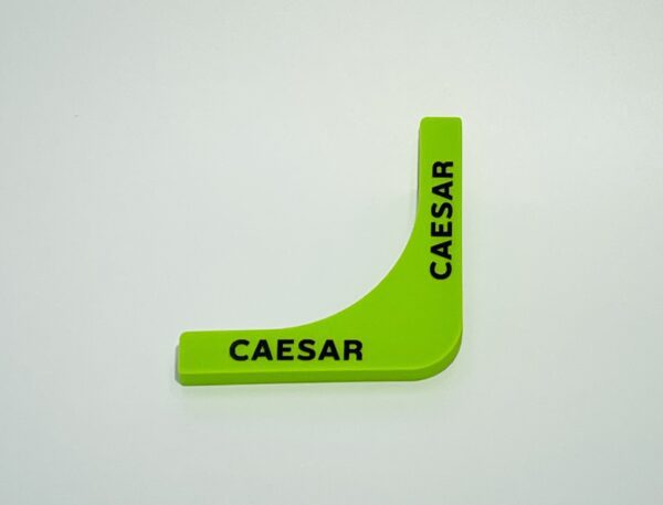 Caeser