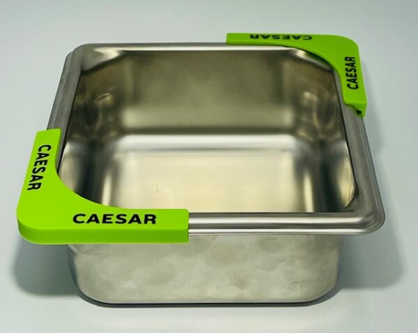 Caeser - Image 3