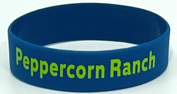 A blue wristband with the words " supercorn ranch ".