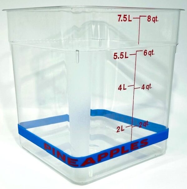 A clear container with blue trim and measurements.