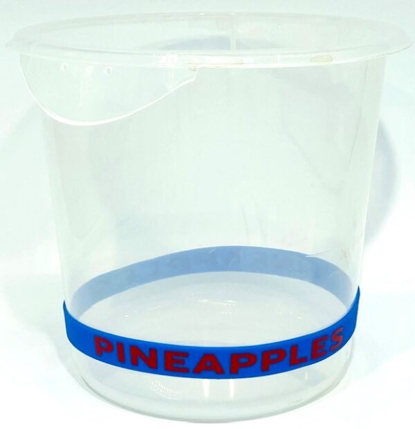 A plastic container with a blue band around it.